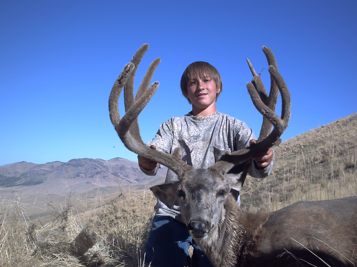 guided hunting trips nevada