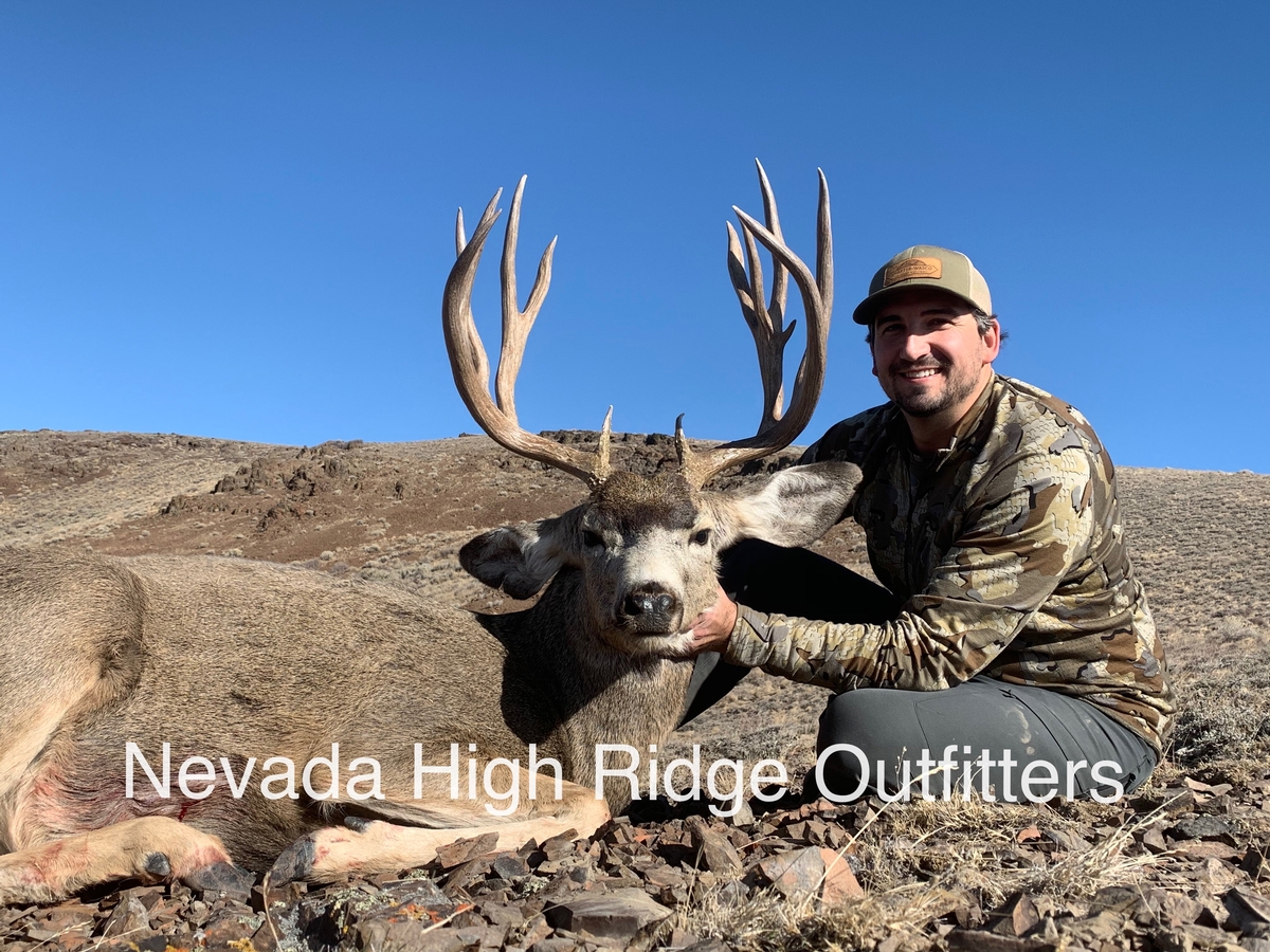 Nevada High Ridge Outfitters 2020 Hunts Photo Gallery